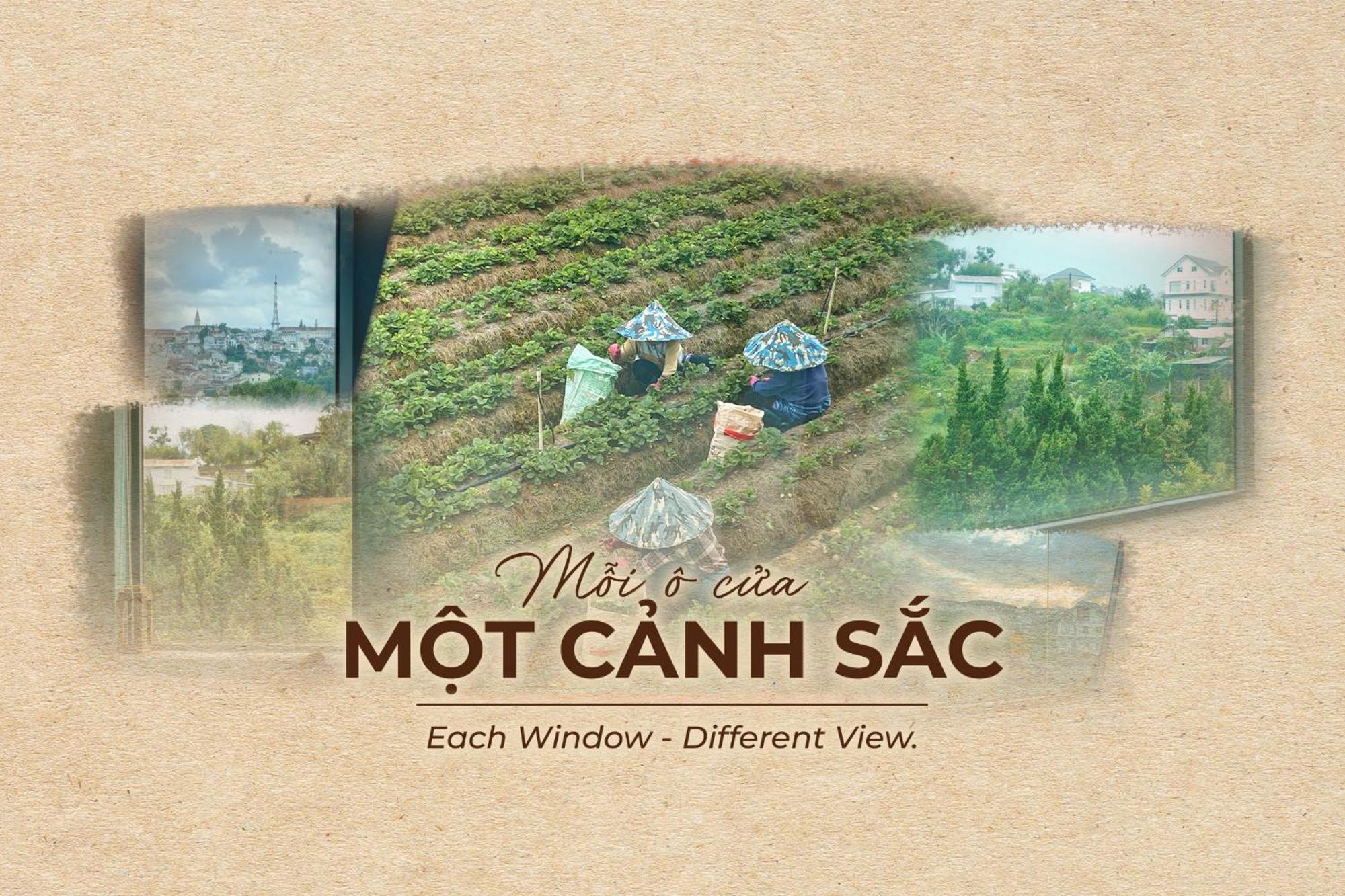Hanoi Amsterdam Art Studio Dalat Exteriér fotografie